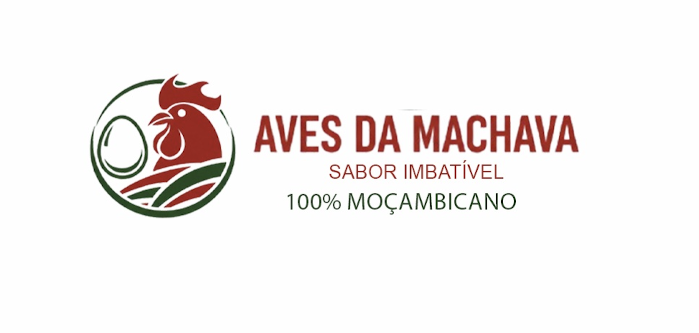 Aves da Machava Branding