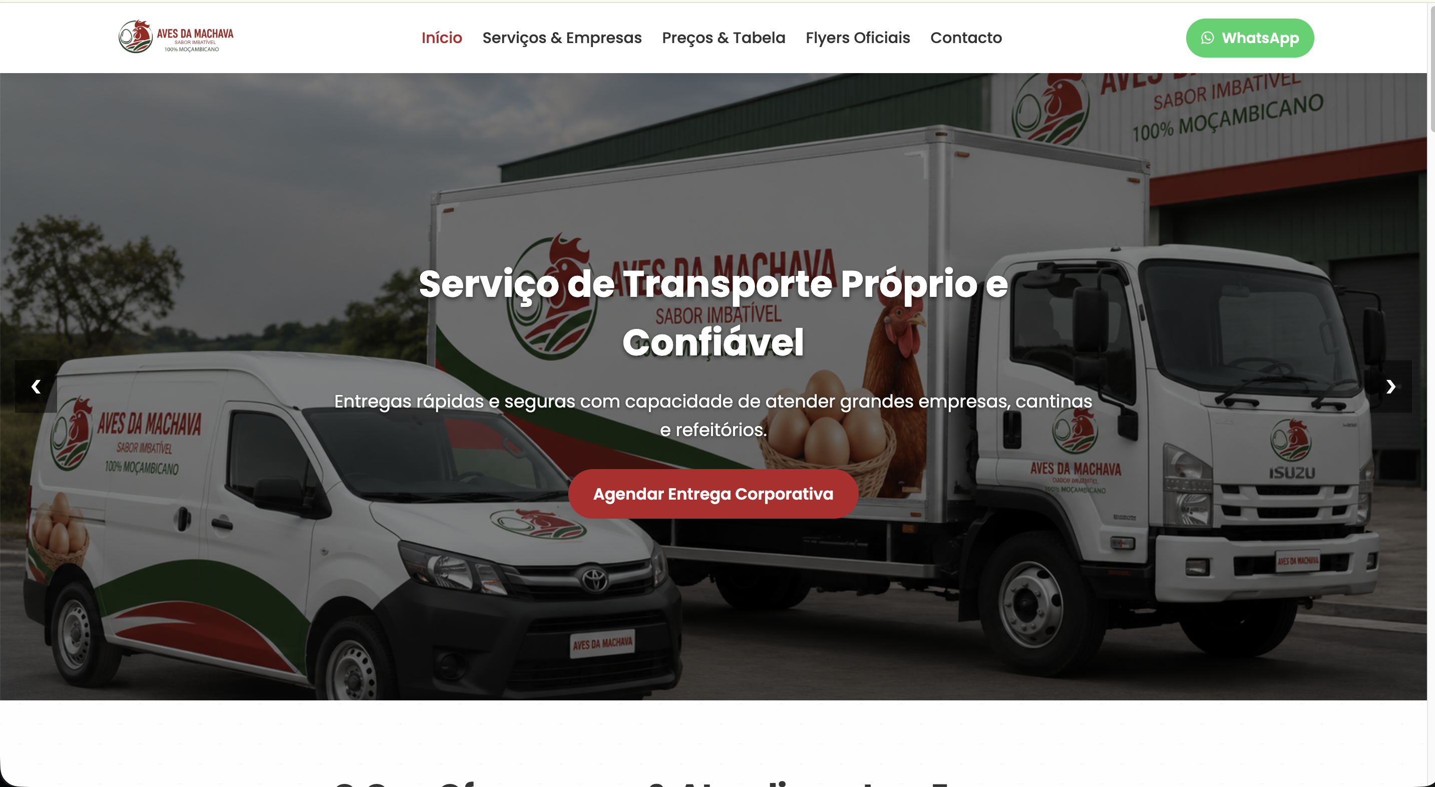 Aves da Machava Website