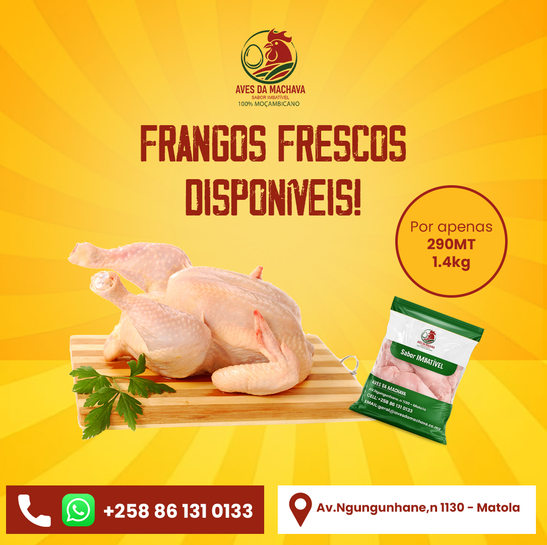 Aves da Machava - Showcase 4