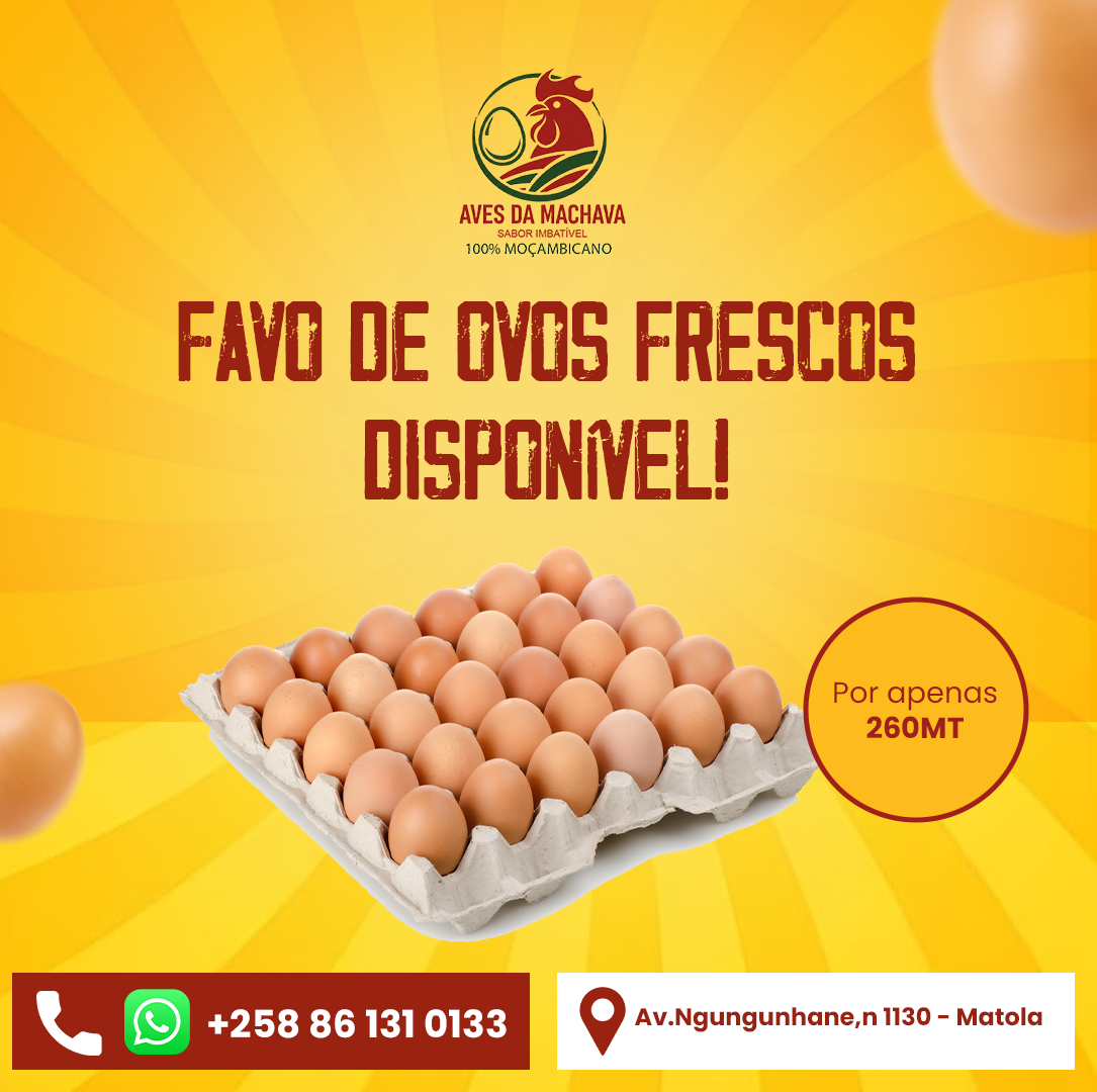 Aves da Machava - Showcase 5
