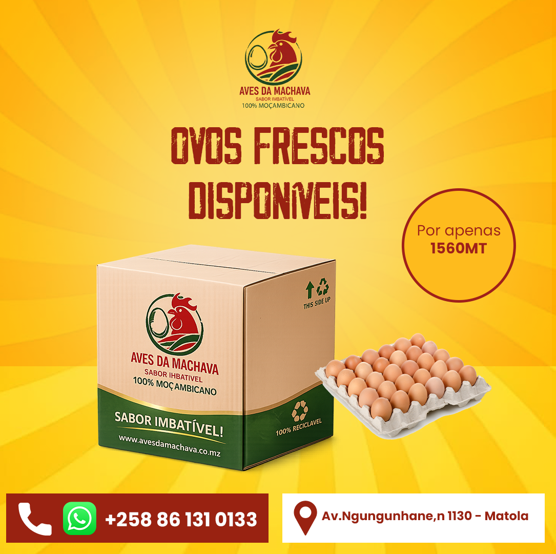 Aves da Machava - Showcase 1
